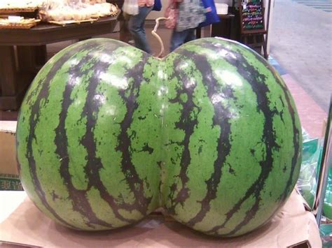 sexy melons|Check Out the Sexy Butt on These Watermelons .